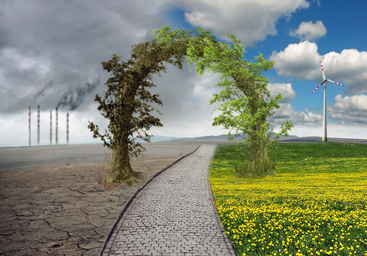 Navarra aprueba una nueva hoja de ruta climática
 