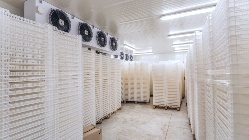 Transición Ecológica destinará 115 millones de euros a proyectos singulares de ahorro y eficiencia energética 