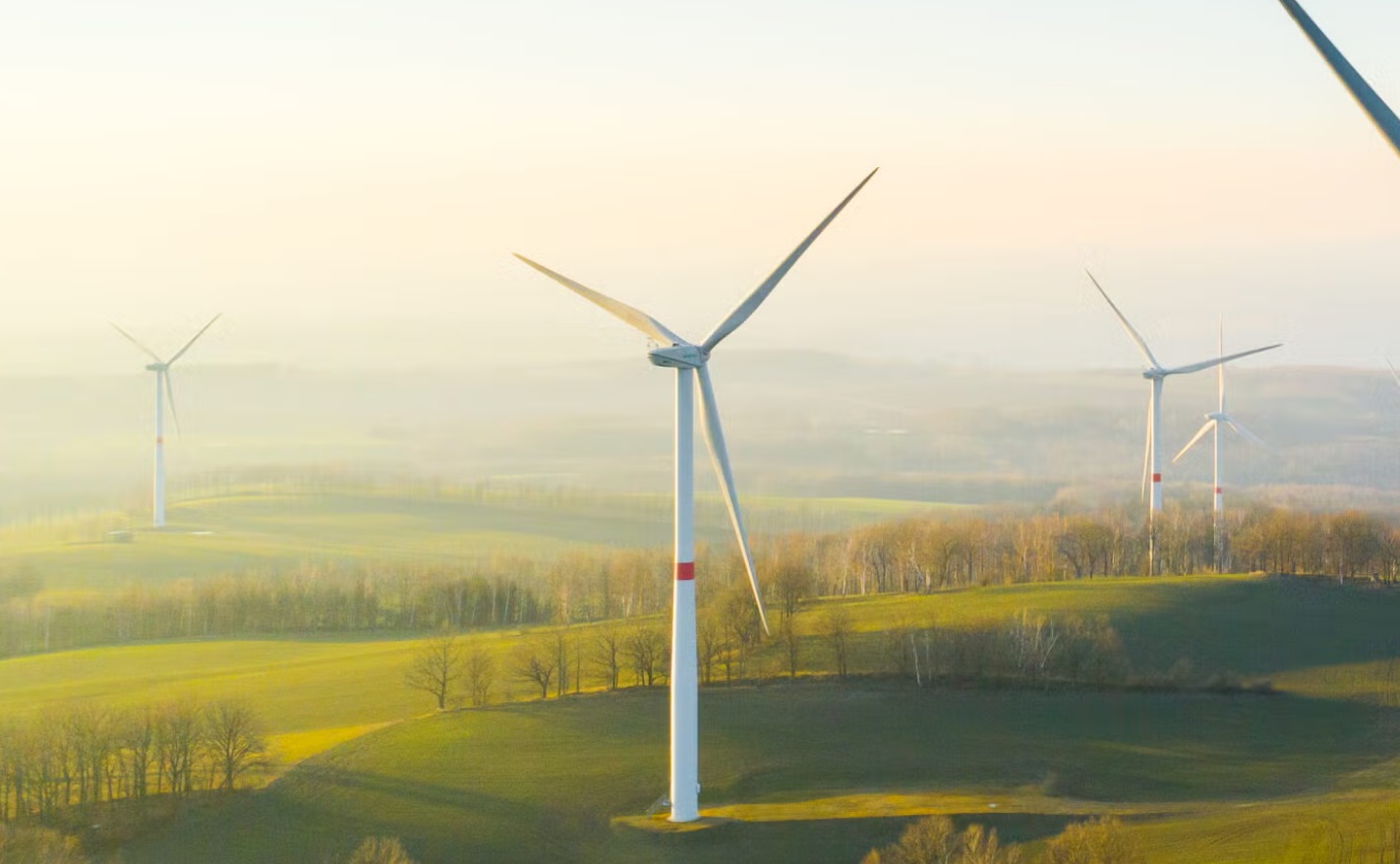 Estados Unidos pierde la guerra