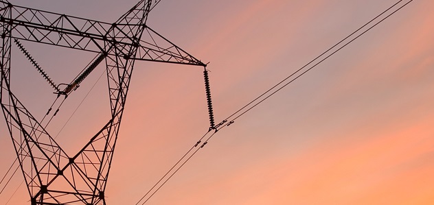 Red Eléctrica desmiente el bulo de la autorización al proyecto de Forestalia