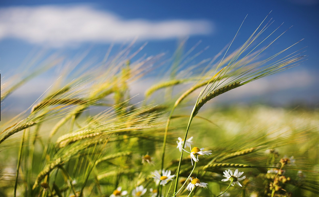 La electricidad hoy en Francia, 5 veces más cara que en España La electricidad hoy en Francia, 5 veces más cara que en España