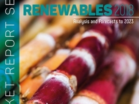 La Agencia Internacional de la Energía pronostica un importante crecimiento de la bioenergía