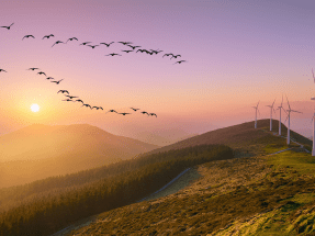 La Asociación Empresarial Eólica anuncia los ganadores de los Premios Eolo 2024