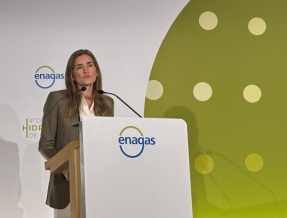 El Miteco trabaja en un Anteproyecto de ley para crear un sistema nacional del hidrógeno y un nuevo mercado regulado