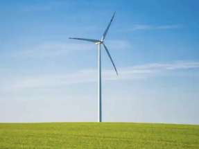 Plataforma de Transparencia de Bonos Verdes: clave para facilitar la inversión sostenible en Latinoamérica