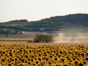 Navarra convoca ayudas para explotaciones agrícolas y ganaderas por valor de 118.579 euros