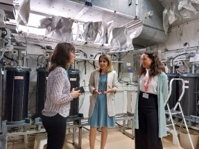 Ainia y Sedigas buscan impulsar conjuntamente el desarrollo de los gases renovables