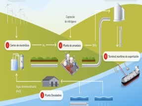 La producción de amoniaco verde que impulsa TE H2 en Chile entra en evaluación ambiental