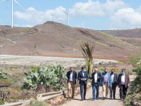 La comunidad energética industrial de Arinaga se postula como pionera a escala mundial 