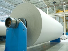 El sector papelero "aplaude" la aprobación  del Estatuto del Consumidor Electrointensivo