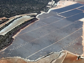 Avanzalia Solar implanta el teletrabajo en el 100% de su plantilla para favorecer la contención del coronavirus