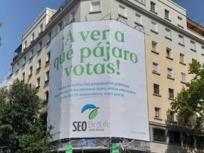 SEO/BirdLife propone fijar como límite al crecimiento de las renovables la demanda nacional