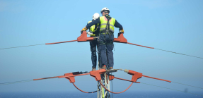 Endesa impulsa una red eléctrica más respetuosa con la avifauna