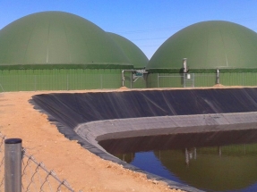 La CNMC "no ayuda en nada al desarrollo del gas renovable, ya que ni lo considera"