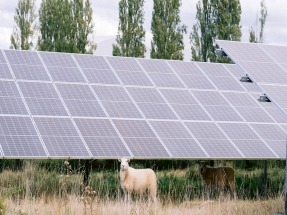 BayWa r.e. Completes Major Sale of French Solar Projects Totaling 127 MWp