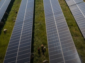 BayWa r.e. adquiere diez proyectos fotovoltaicos de 700 MW