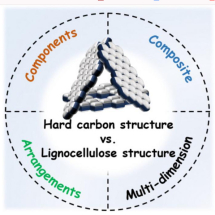 From Wood Waste to Watts: Unlocking the Potential of Biomass for Greener Sodium-Ion Batteries
