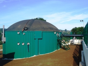 Biogás, el gran olvidado de la transición energética