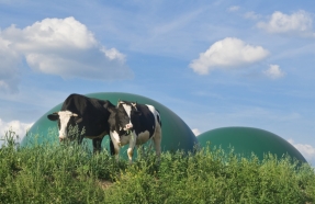  España ya tiene Guía del Biogás y el Biometano 