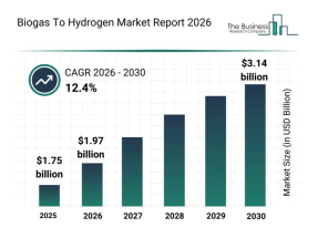 Key Trends Shaping the Biogas to Hydrogen Market Until 2030