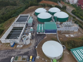 La bioenergía, protagonista en el Día Mundial del Medio Ambiente