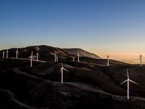 La eólica celebra el Día Mundial del Viento con 500 gigas en marcha