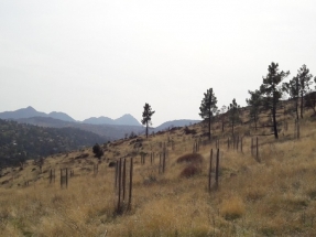 Endesa, primera empresa del sector en lograr el triple sello Calculo+Reduzco+Compenso del Ministerio para la Transición Ecológica