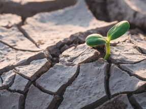 BBVA le concede a Iberdrola un préstamo verde de 400 millones de dólares