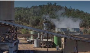 NewYork GreenCloud Acquires Buena Vista Biomass Power Facility