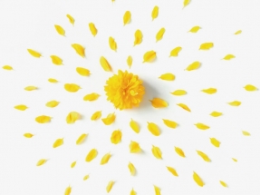 Autoconsumos con baterías que prometen hasta un 70% de ahorro