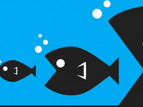 Canibalización de los precios y financiación, lo que más preocupa a los productores renovables