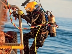 ¿Habrá sido 2016 el año de la inflexión para las "otras fuentes" de energía?