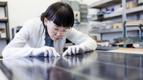 Las renovables viven en 2024 su primera desaceleración en creación de empleo