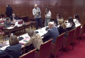 La presidenta de Red Eléctrica insiste en el Senado en situar el foco del apagón en las eléctricas La presidenta de Red Eléctrica insiste en el Senado en situar el foco del apagón en las eléctricas