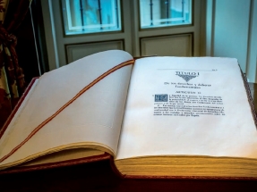 ¿Por qué el derecho a un medio ambiente adecuado no es reconocido por la Constitución como un Derecho Fundamental?