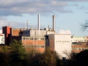 Diseñan un proceso de gasificación de biomasa adaptable a miles de plantas industriales y energéticas