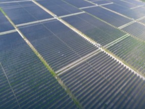 Deriva Energy’s 100 MW Wildflower Solar Facility Now Operational