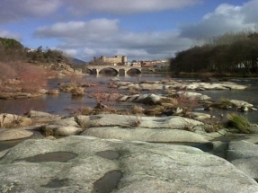 El verdadero valor de las renovables durante el Covid-19 está siendo su capacidad de autoabastecernos en un entorno de tensión extrema