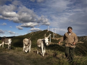 El 70% de los habitantes de municipios con parques eólicos de Cataluña, satisfecho con su instalación