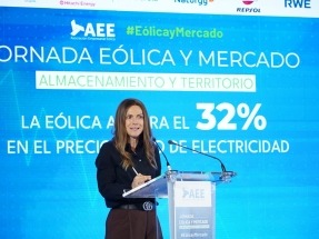 El sector eólico pide acelerar el ritmo de tramitación de proyectos para avanzar en la transición energética