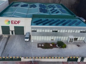 KPMG no detecta anomalías en EiDF