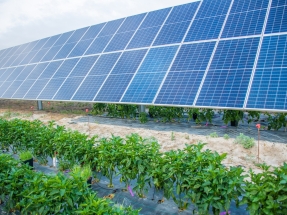 Endesa se pone a mil