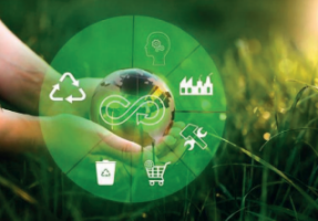 Formación y empleo en la EOI
 