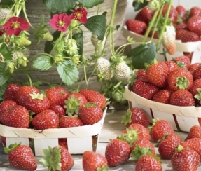 Envases bio a partir de restos de frutas muy perecederas, como las fresas