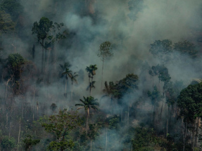 "La buena voluntad no vale de nada, lo que se necesita es el compromiso de alcanzar emisiones cero para 2050"
"La buena voluntad no vale de nada, lo que se necesita es el compromiso de alcanzar emisiones cero para 2050"