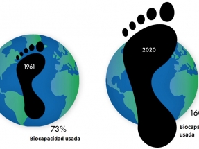 Cierre indefinido de todos los comercios por falta de existencias hasta el 31 de diciembre