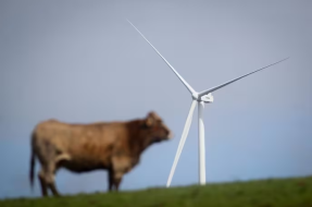 El Constitucional deja sin efecto la suspensión que paralizaba la eólica gallega