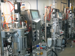 La UE subvenciona con 14 millones de euros biorrefinerías a partir de residuos forestales