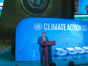 La lucha contra el cambio climático: un movimiento imparable