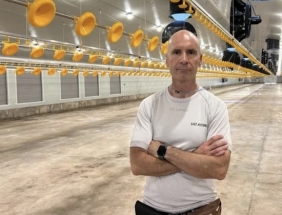 ¿Qué mejores combustibles que el sol y las aceitunas?